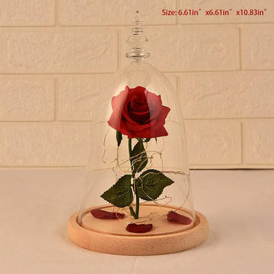 Glass Cover Rose LED Supper Light Valentine Day