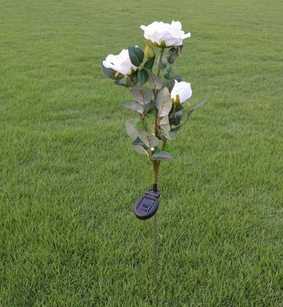 white rose lantern 3LED white romantic rose lantern