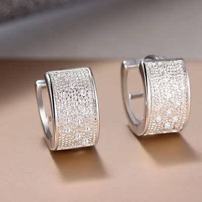 Heißer Verkauf 925 Silber Nadel Ohrringe Micro Intarsien AAA Reihe CZ Zirkon Stud Ohrringe für Frauen Schmuck Geschenk Pendientes Großhandel 